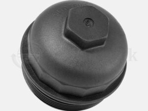 Fuel Filter Cap - 482